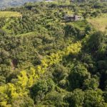 La UQ realizó monitoreo y seguimiento al proceso de restauración del proyecto PIGCC del Quindío