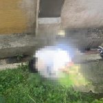 Homicidio en zona urbana de Quimbaya